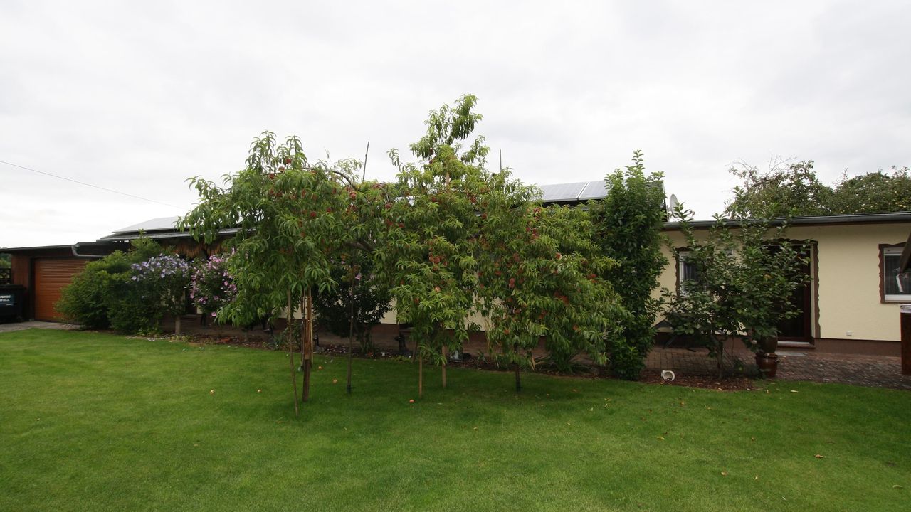 ExteriorSummer ExteriorSummer